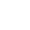 Viantran Academy